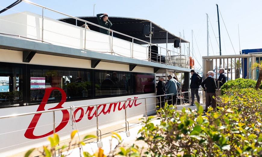 Image 1: Salida en catamarán con degustación de mejillones para niño o adulto