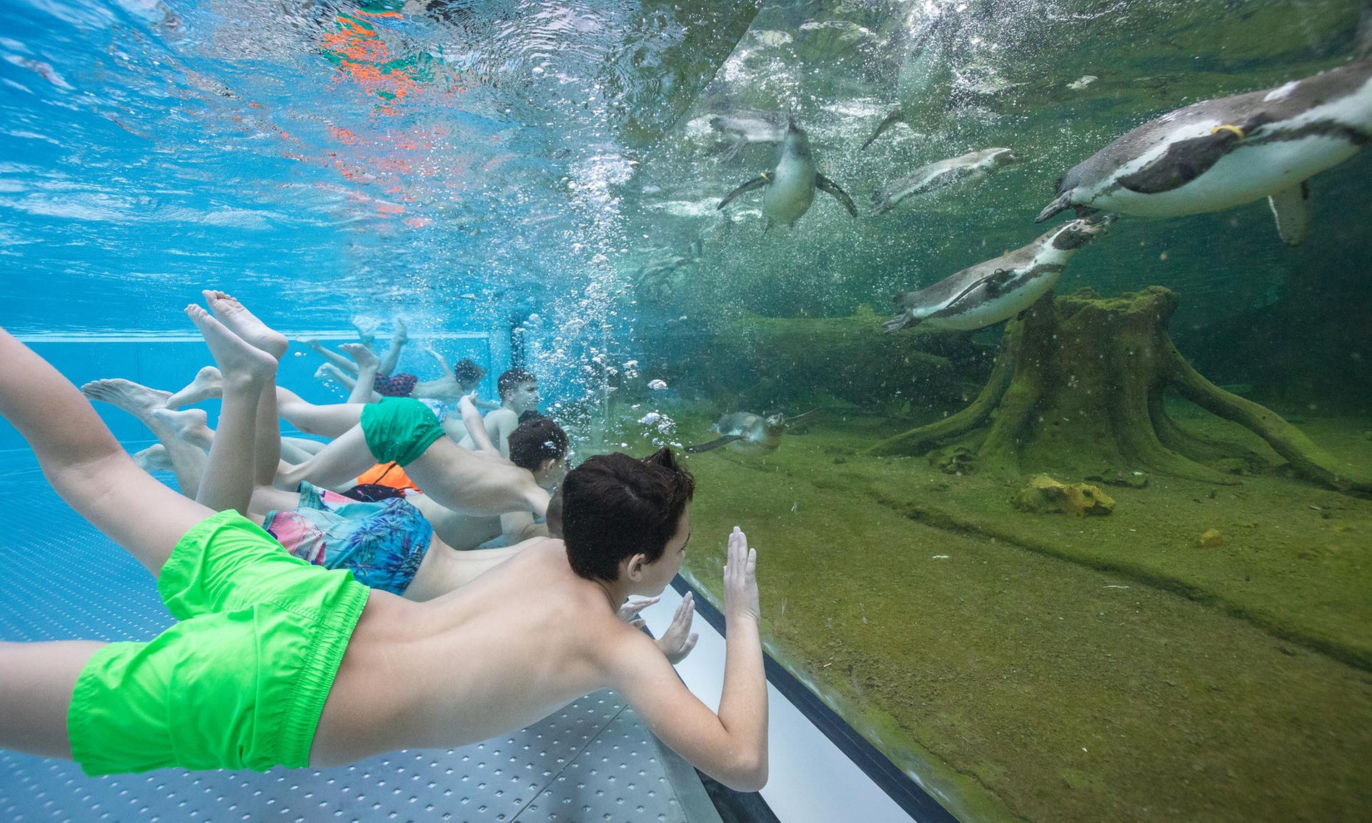 Tageskarte Sauna & Bad Spreewelten