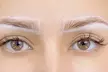 Microblading für die Augenbrauen inkl. Nachbehandlung bei Beauty Plus (44% sparen) - Second Medium