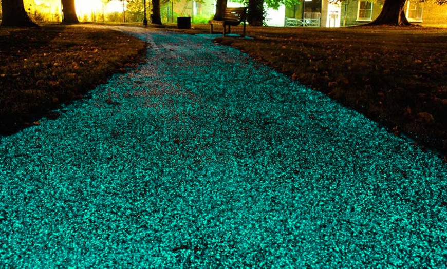 Image 4: Glow in the Dark Pebbles