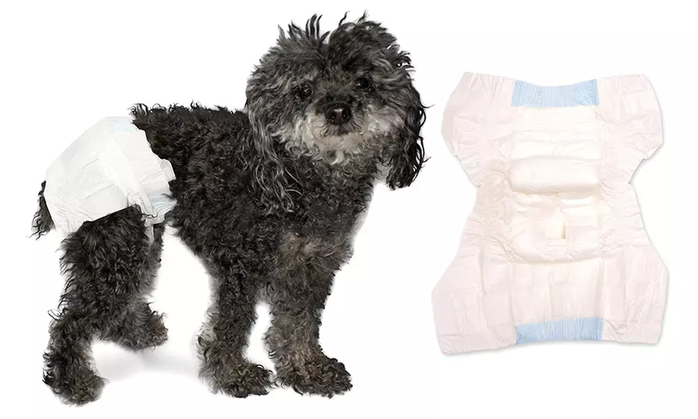 1 ou 2 packs de 12 couches absorbantes pour chiens - Primary Image