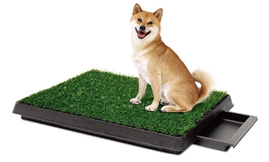 Image 2: Indoor Dog Toilet with Fake Grass