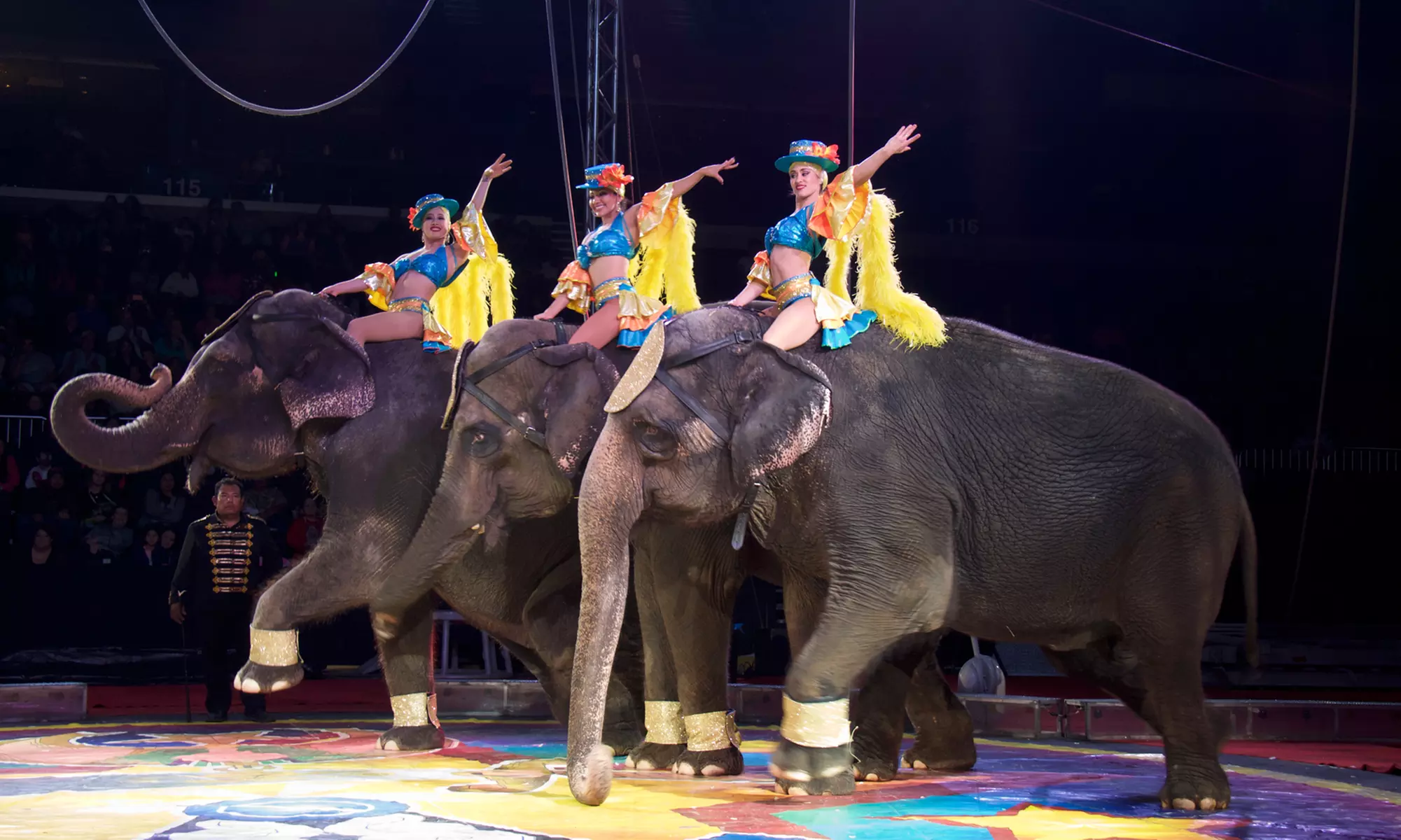 Shrine Circus (September 10-12) - Primary Image