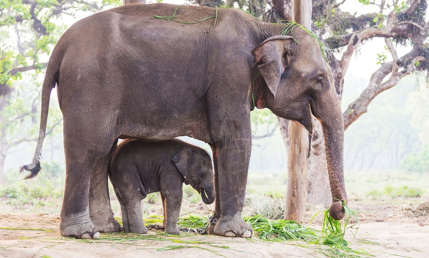 Image 2: Descubre el mundo sin salir de tu ciudad con degustación y premios