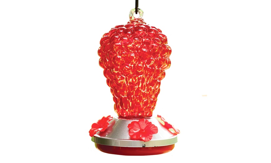 Up To 48 Off on Glass Grapes Hummingbird Feeder Groupon Goods