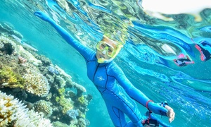 Cairns: Full Day Reef Cruise ($66 - Child, $146 - Adult)