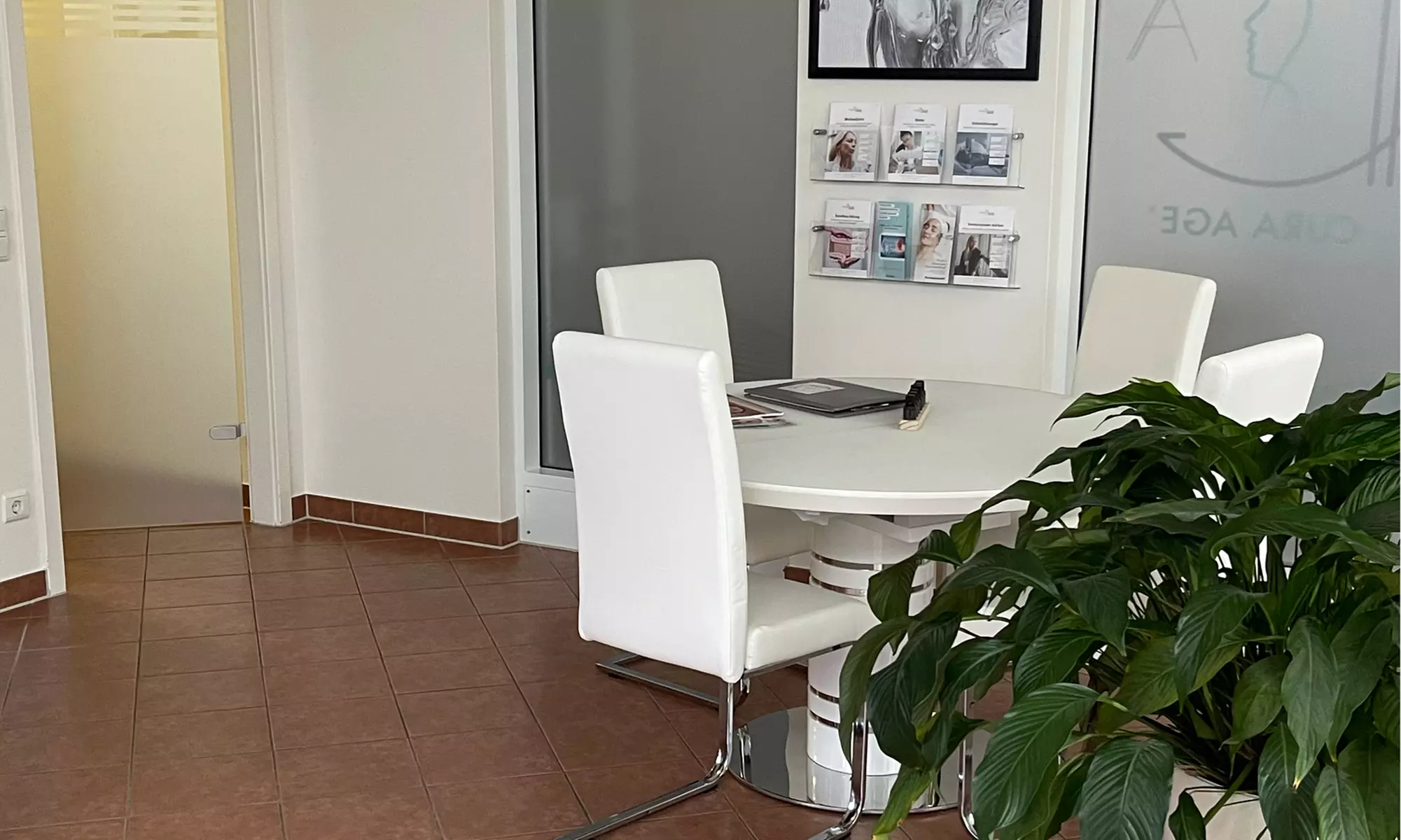 60 Min. Mesotherapie für den ganzen Kopf oder Oberkopf für 1 Person