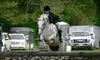 $30 for One-Hour Private Horse-Riding Lesson at Hunter's Haven Farm in Groveland 