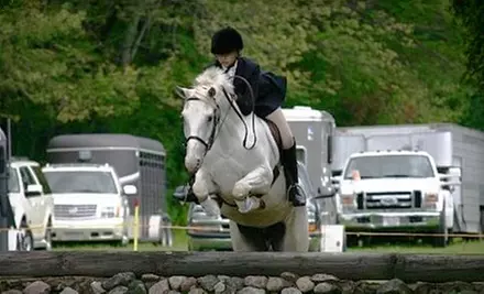 $30 for One-Hour Private Horse-Riding Lesson at Hunter's Haven Farm in Groveland  - Primary Image