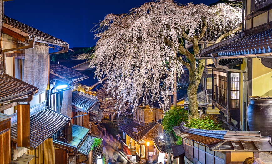 Image 9: ✈ Osaka, Kyoto & Nara: 7 Nights Getaway with Hotels & Return Flights