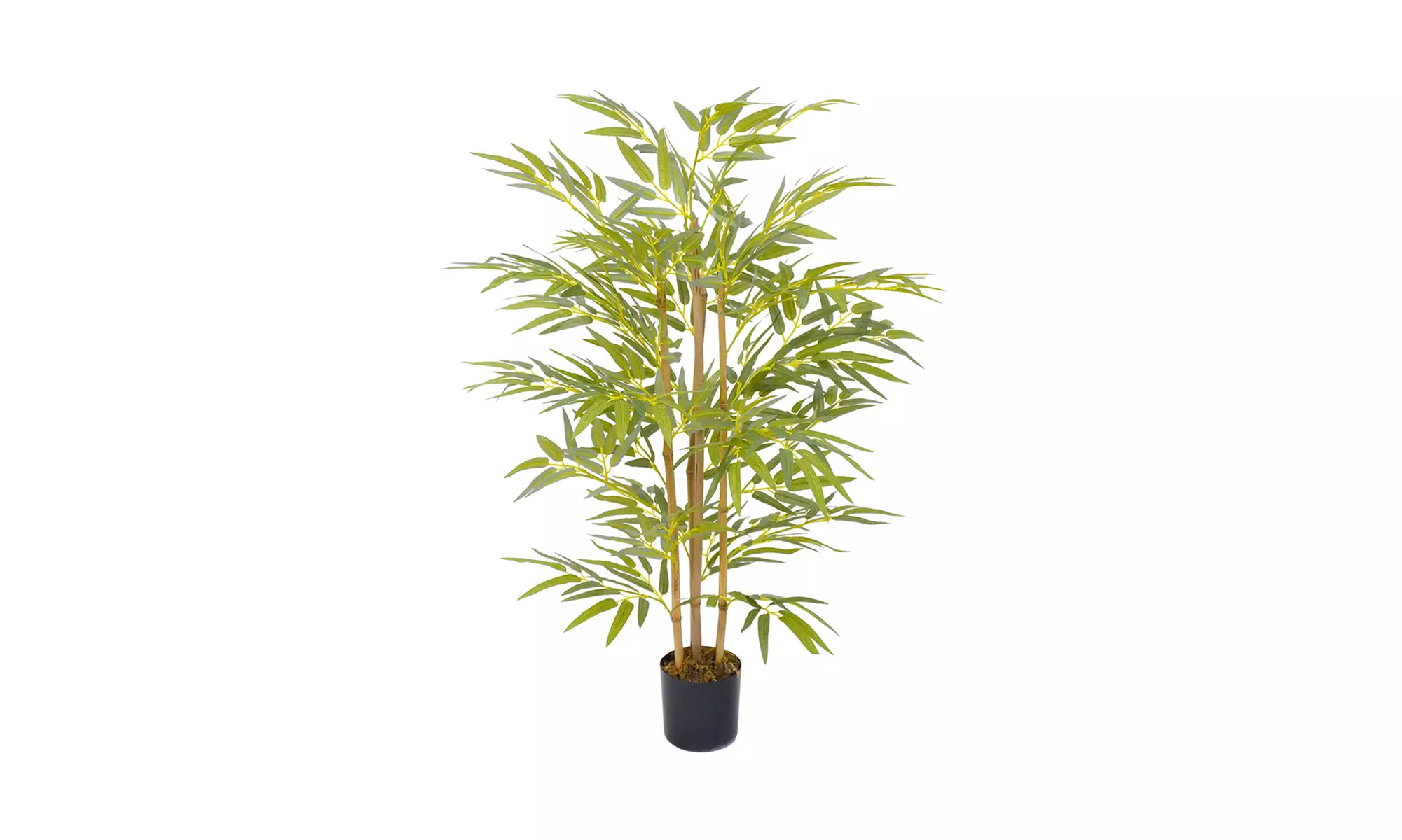 Collezione di piante finte da interno