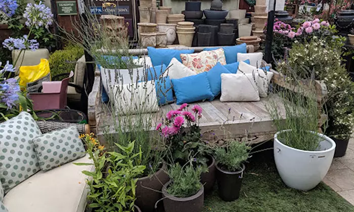 Products at Laguna Nursery (Up to 50% Off). Two Options Available. - Primary Image