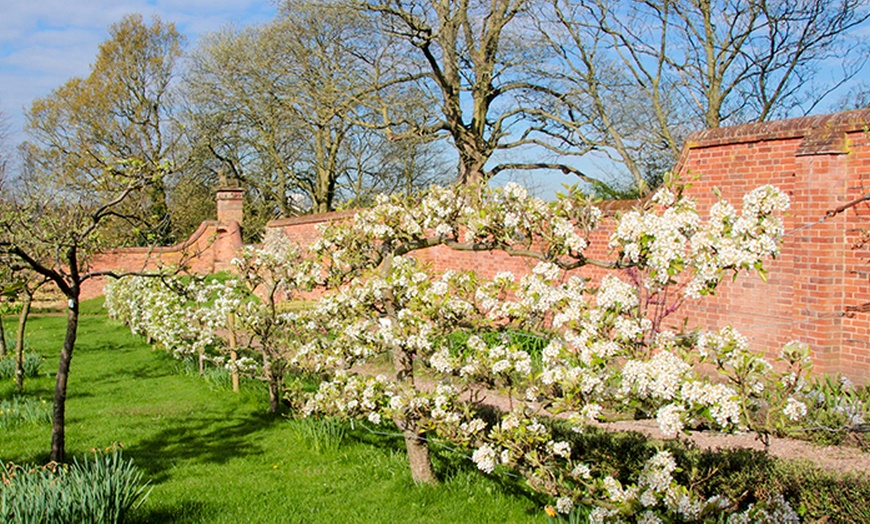 Image 6: Cream Tea Box with Entry to Castle Bromwich Hall Gardens 