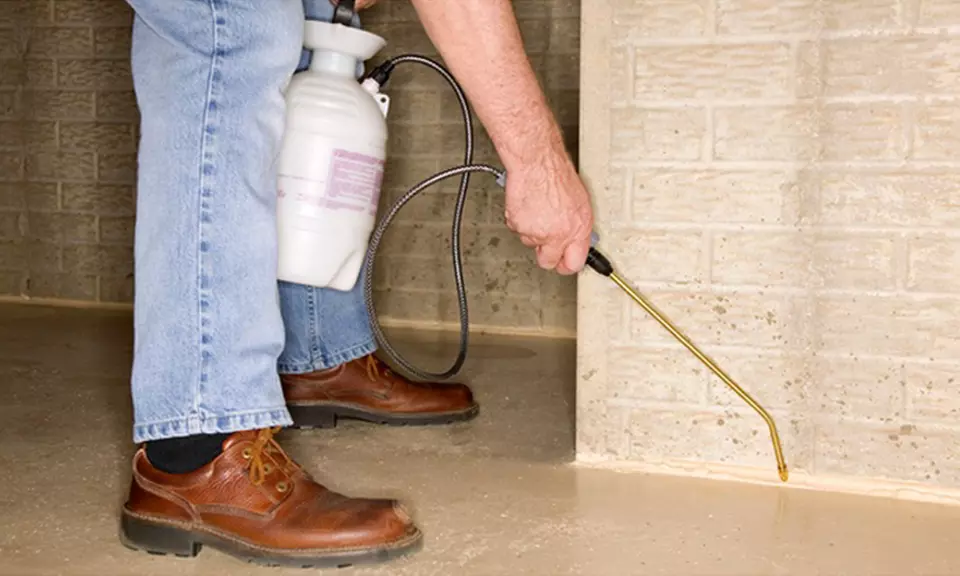 $50 Off $100 Worth of Pest Control Service - General - Primary Image