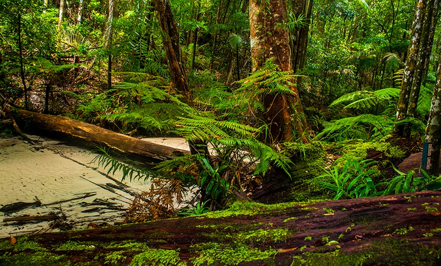 Image 8: Fraser Island: 2-5-Night Stay and Wine - BYO 4WD