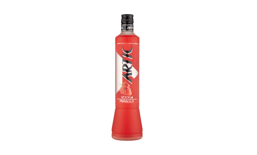 Image 3: Vodka Artic 1 L