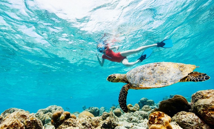 Image 1: Unforgettable Snorkeling Adventures, Discover Scuba Diving or Open Water Dive Courses