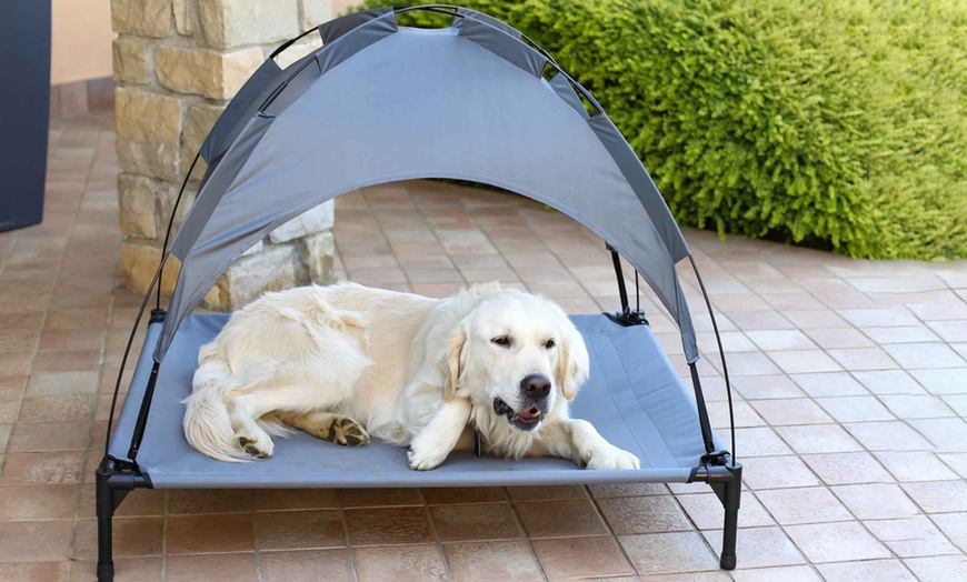 Image 4: Cama elevada para perros y gatos con techo