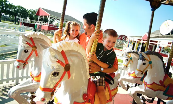 $11 Towards $20 Towards Farmyard and Attractions Experience at Lambs Farm - Primary Image