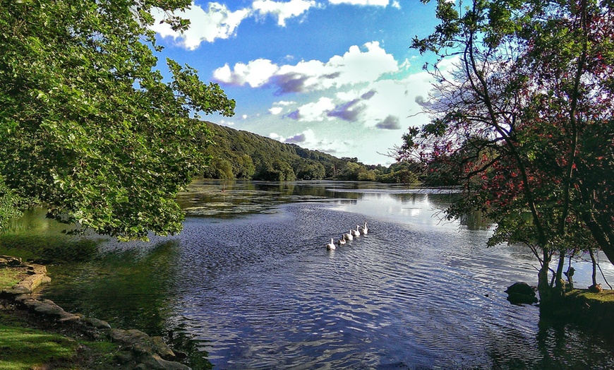 Image 7: Scarborough: Cabin Stay for Up to Four