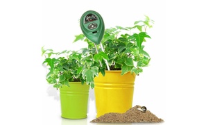 3-in-1 Soil Moisture Test Kit 