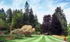 $25 for $45 Worth of Landscaping — Balanced lawn service