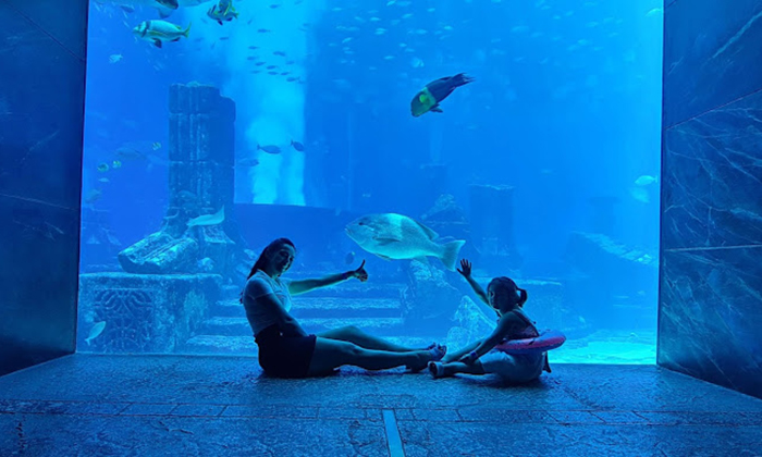 Explore Dubai’s Lost Chambers Aquarium: Tickets For One, Two, Or Four