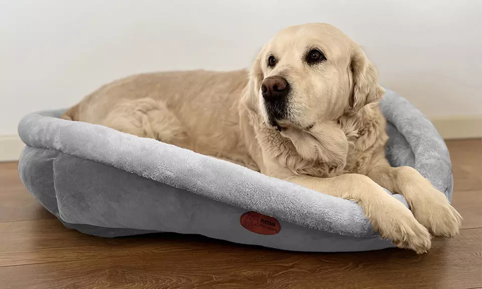 Cucce, lettini e divanetti per cani e gatti in vari modelli e misure