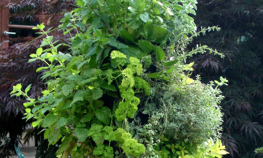 Image 4: Free-Standing Flower Tower