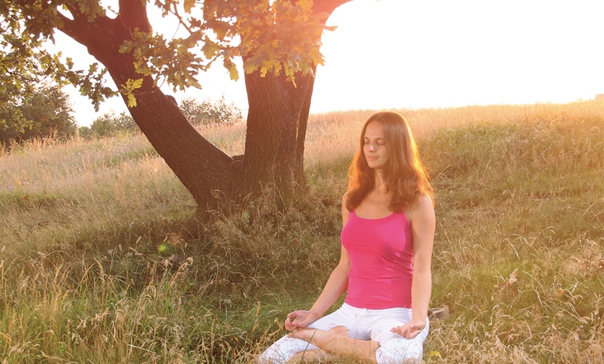 Image 13: Teutoburger Wald: 2 Nächte mit Verpflegung und Yoga-Seminar