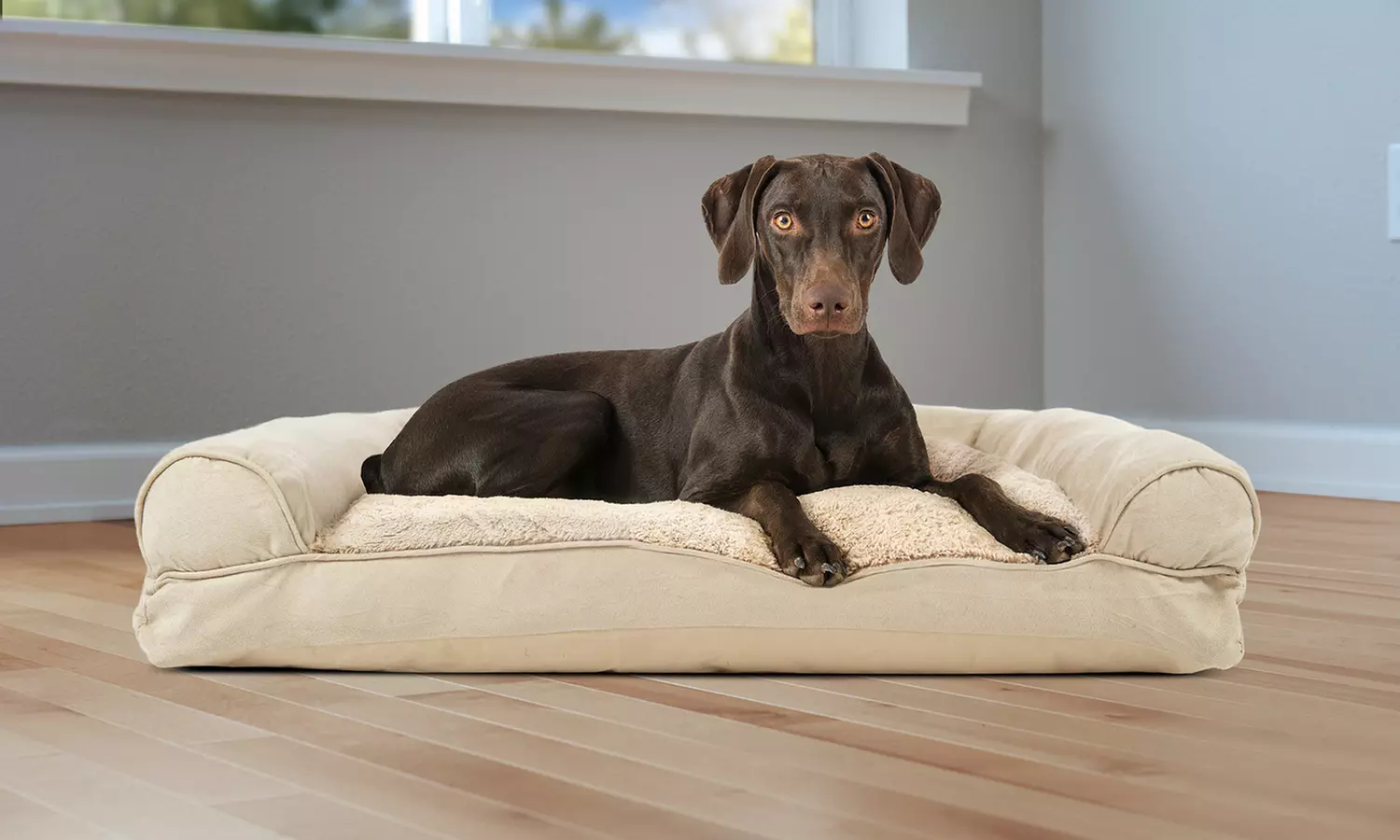 Sofa-Style Plush and Suede Pillow Pet Bed Mattress - Primary Image