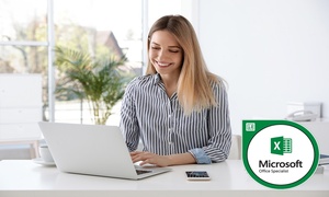 Excel 2016 MOS Online Course