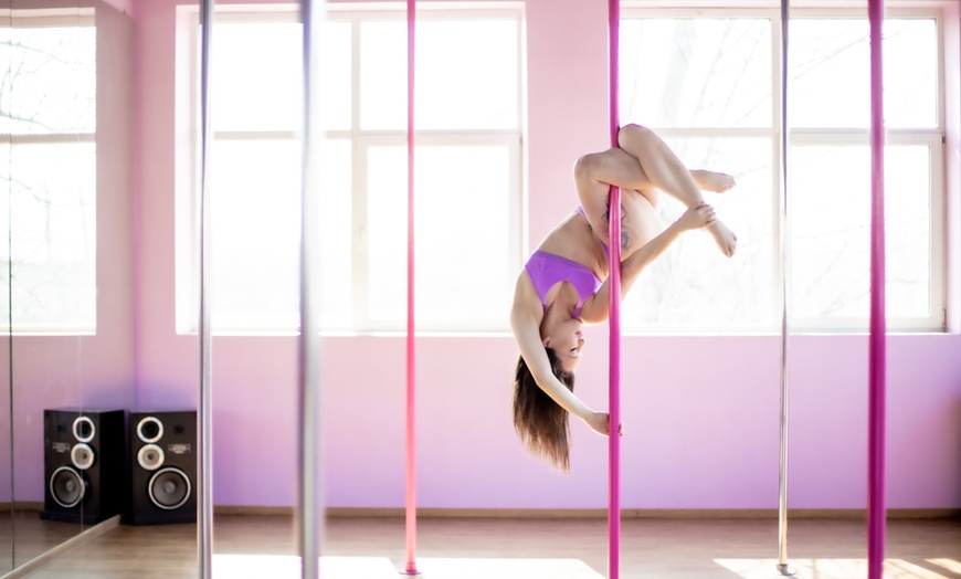 Image 3: Wejścia na wybrane zajęcia: Pole Dance, Aerial Hoop i Aerial Silks