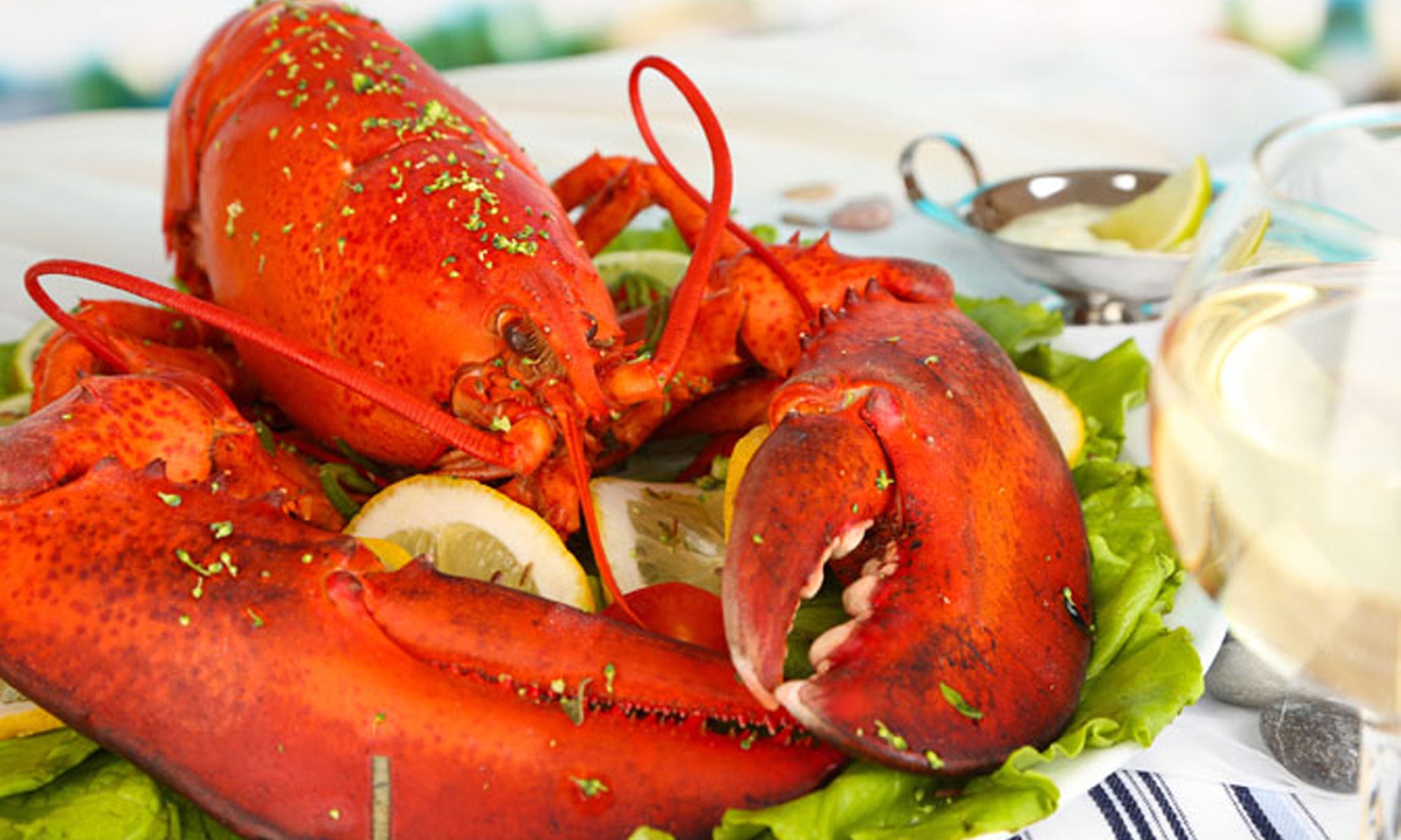 Waterfront Lobster Dinner Feast with Wine & Italian-American Flair 