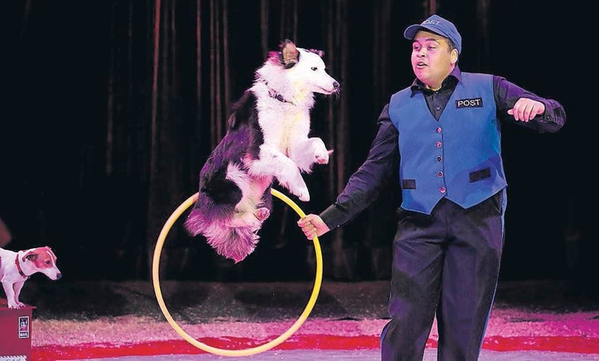 Image 7: Le Grand Cirque de Noël "Liège en Piste" par Horwood Productions