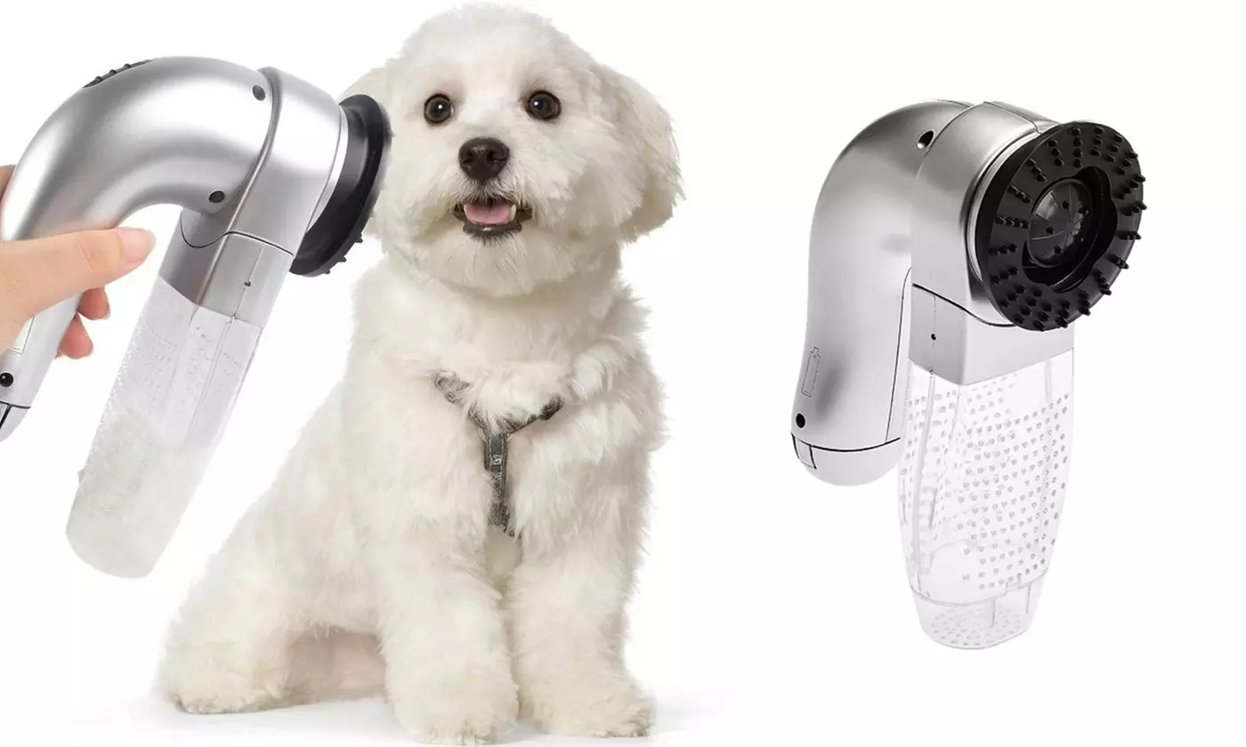 1 o 2 aspiradores de pelos de mascota con protuberancias de masaje - Primary Image