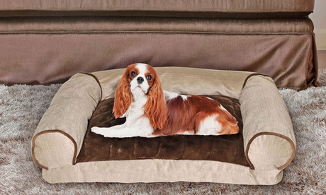 Divanetto imbottito e rilassante per cani e gatti, disponibile in 2 misure