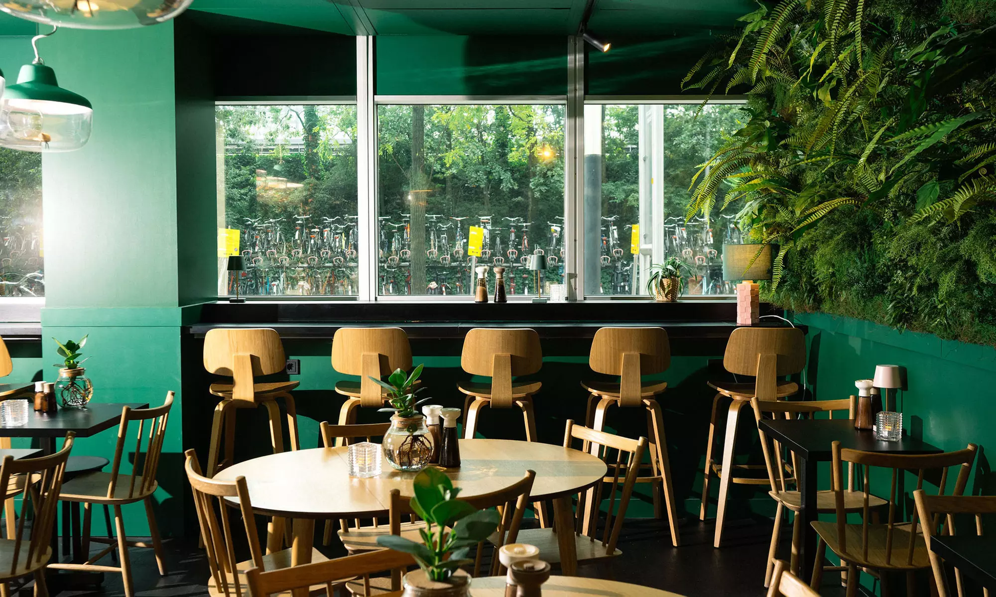 Amsterdam-Zuid: Standard or Large Double Room for 2 People