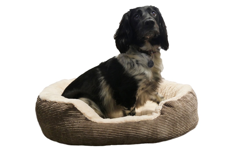 Image 3: Jumbo Cord Oval Pet Bed