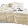 Image 4: Thick Plush Striped Winter Throw Blanket 