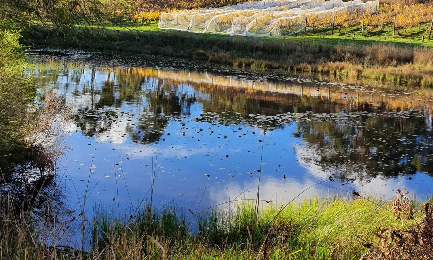 Winery Experience Package