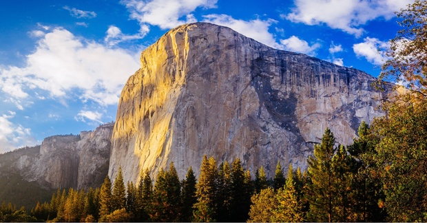 What to expect media