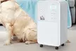 Homcom Dehumidifier Selection - Image 4