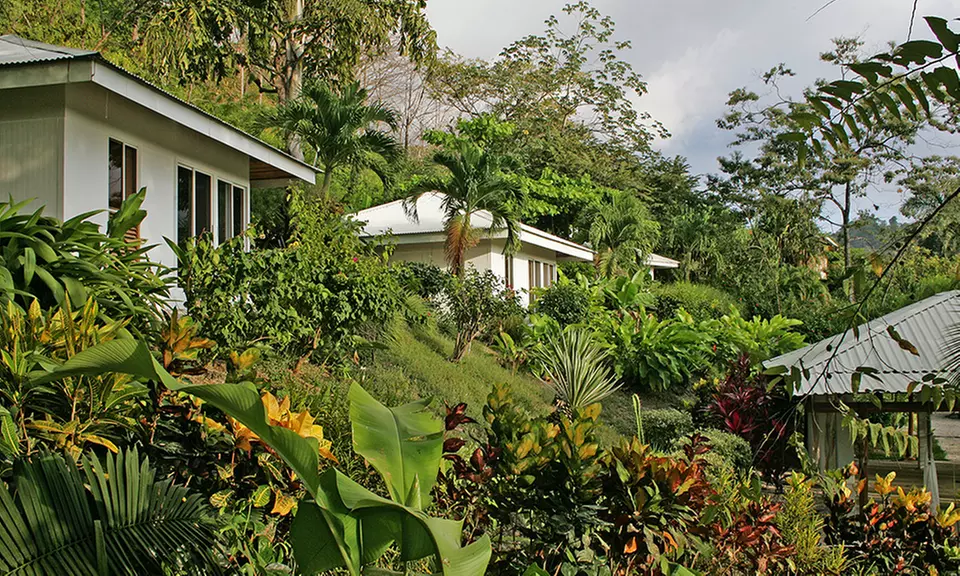 Stay for Two at Black Orchid Resort with Welcome Drinks in Burrell Boom Village, Belize. Dates into October. - Primary Image