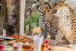 Enjoy with Zoo Entrance, Activity and AED 50/100/200 Voucher at Emirates Park Zoo & Resort (Up to 22% Off) - Image 5