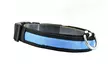 Collier phosphorescent pour chien avec laisse en option - Second Medium
