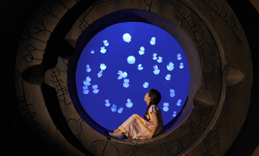 Image 2: Entry Tickets for Kids, Adults & Families to the Lost World Aquarium