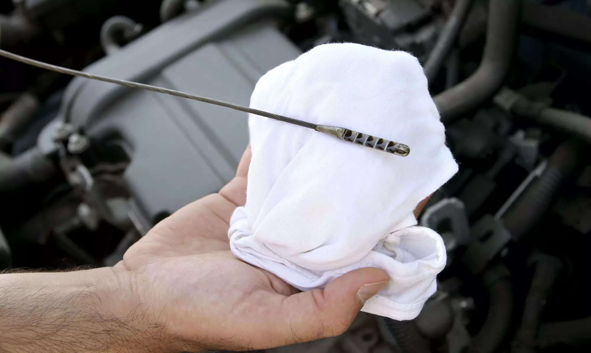 Conventional or Full Synthetic Oil Change at Express Oil Change