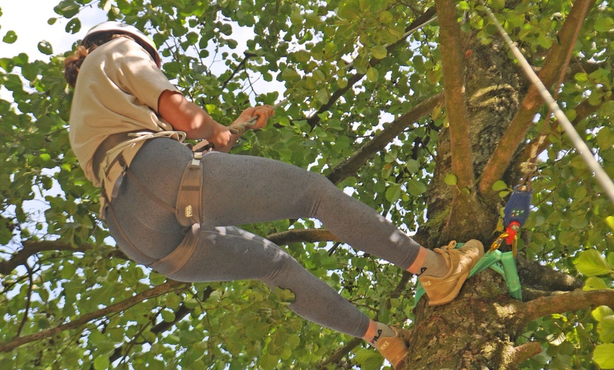 Image 7: Adrenalin pur beim 3-stündigen Outdoor-Baumklettern-Workshop