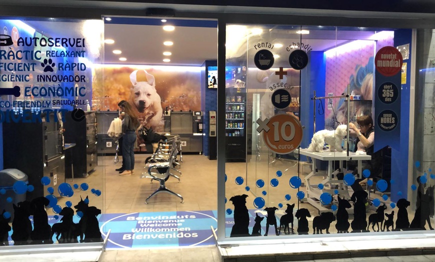 Image 4: Sesión de peluquería canina y spa